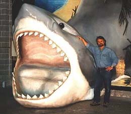 Shark Sculpture and the Artist